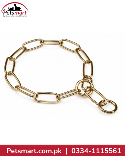 Large golden metal choke chain collar for dogs with elongated links and two end rings