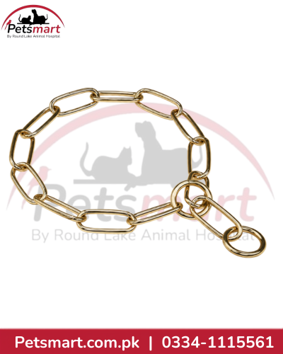Large golden metal choke chain collar for dogs with elongated links and two end rings