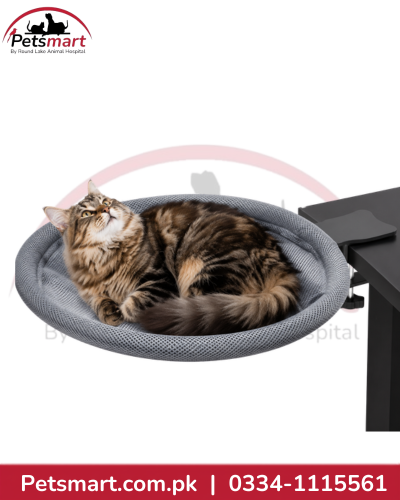 Large grey round cat bed attached to a black table with a clamp mounting bracket
