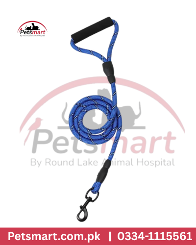 Leash for Dogs