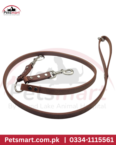 Leather leash