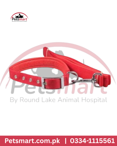Dog collar with Leash s