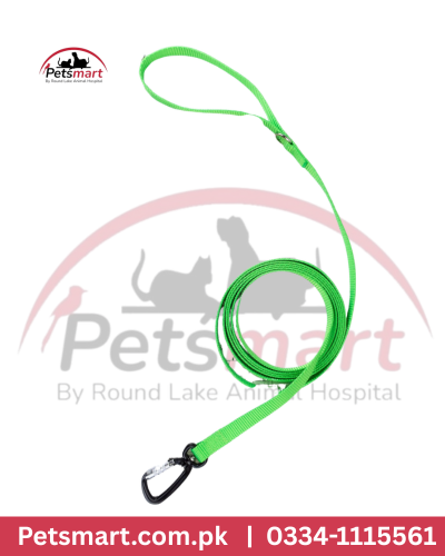 leash small