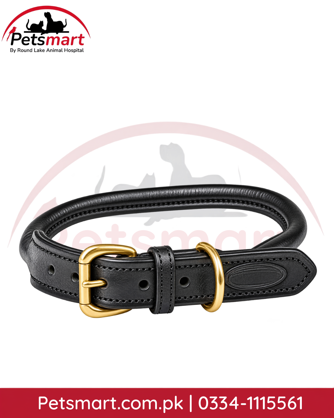 Dark leather padded dog collar with adjustable gold-tone metal buckle and D-ring