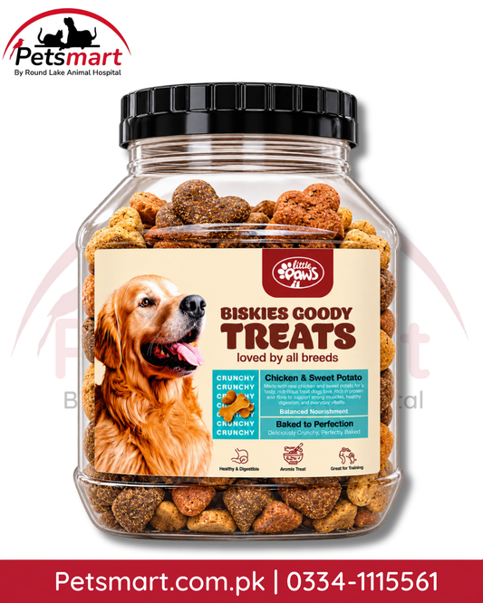 
Little Paws Biskies Goody chicken and sweet potato crunchy dog treats 450g jar
