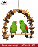 Pair of live Red Wing Parrots companion pet birds