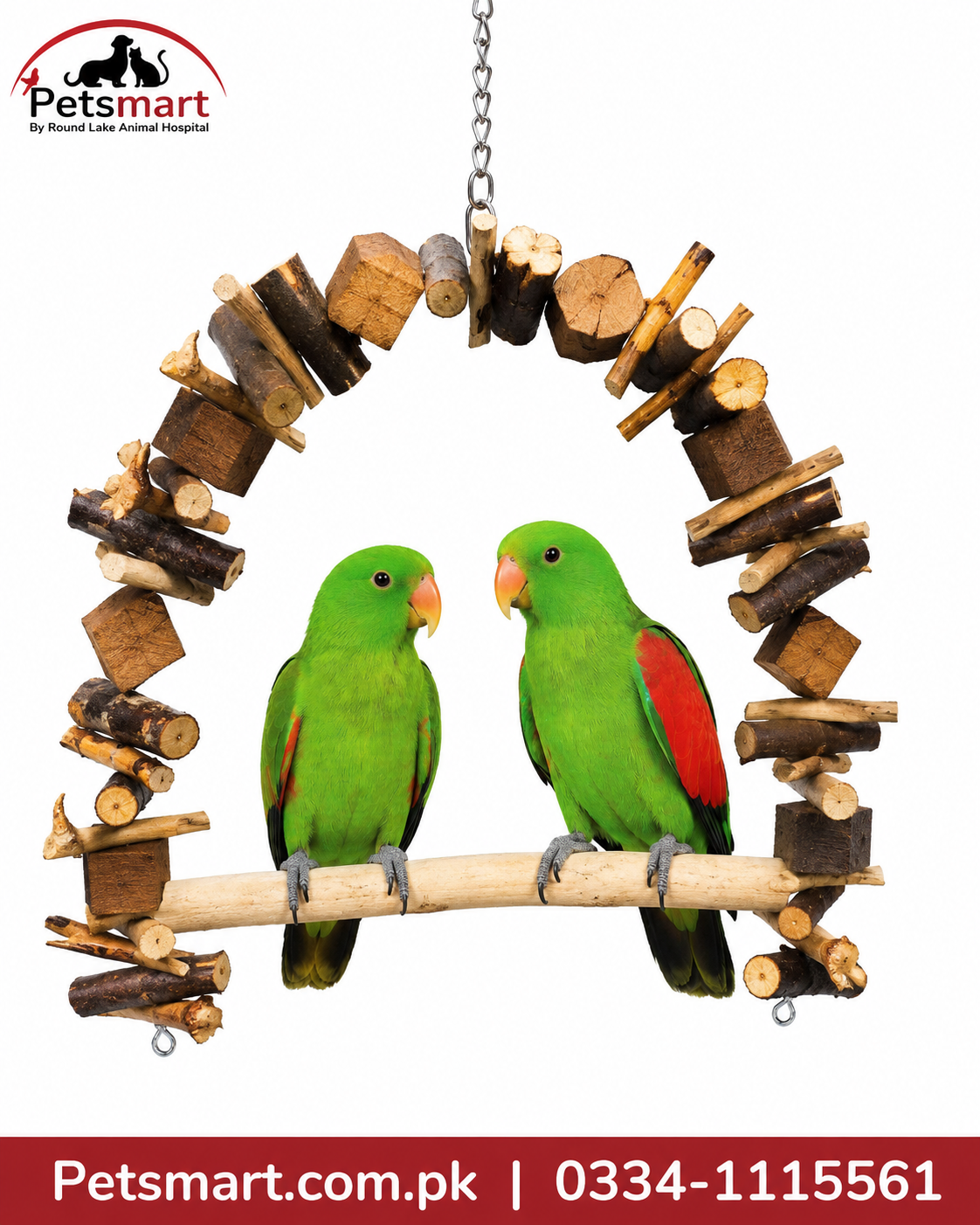 Pair of live Red Wing Parrots companion pet birds