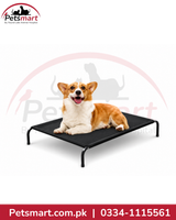 Medium black elevated dog bed with rectangular platform and dog resting on it