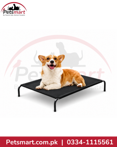Medium black elevated dog bed with rectangular platform and dog resting on it