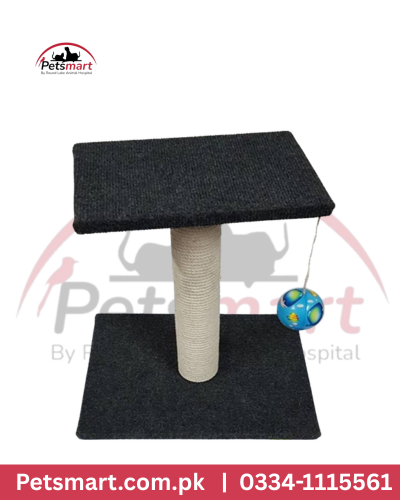 Medium cat scratcher with rope-wrapped post elevated platform and hanging ball toy