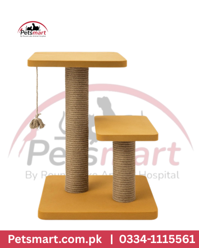 Medium cat scratcher with two rope-wrapped posts two platforms and hanging toy