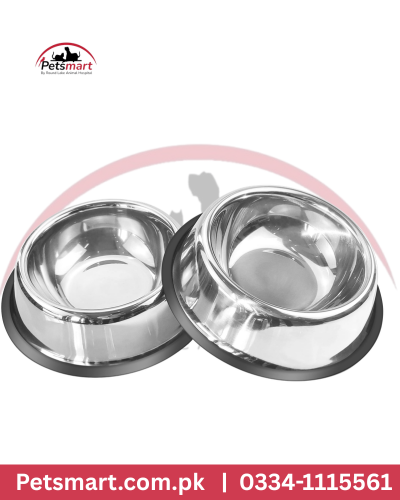 Medium stainless steel pet food and water bowl with a silver finish and dark outer base.