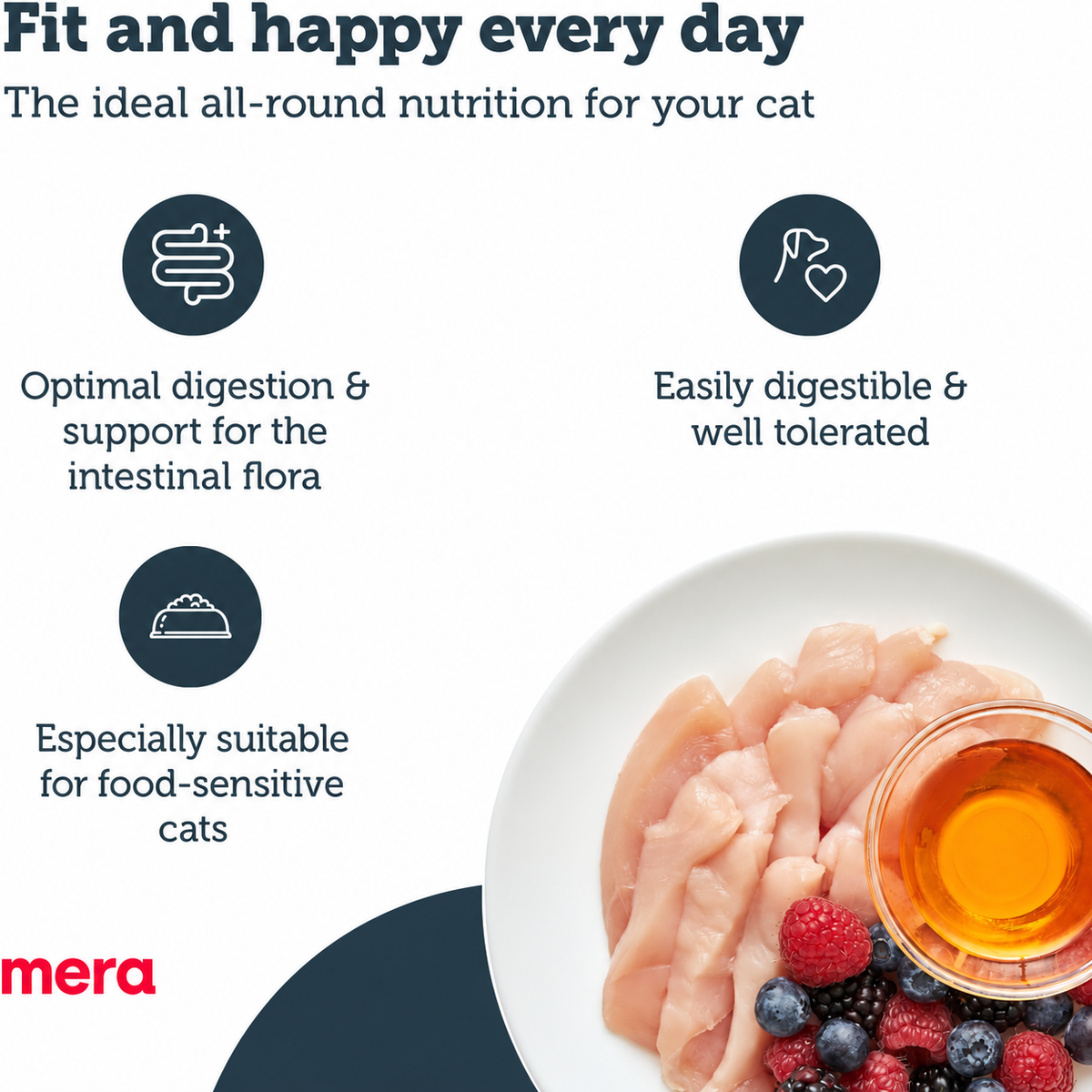 Mera Finest Fit Indoor cat food benefits for digestion intestinal flora and food-sensitive adult cats