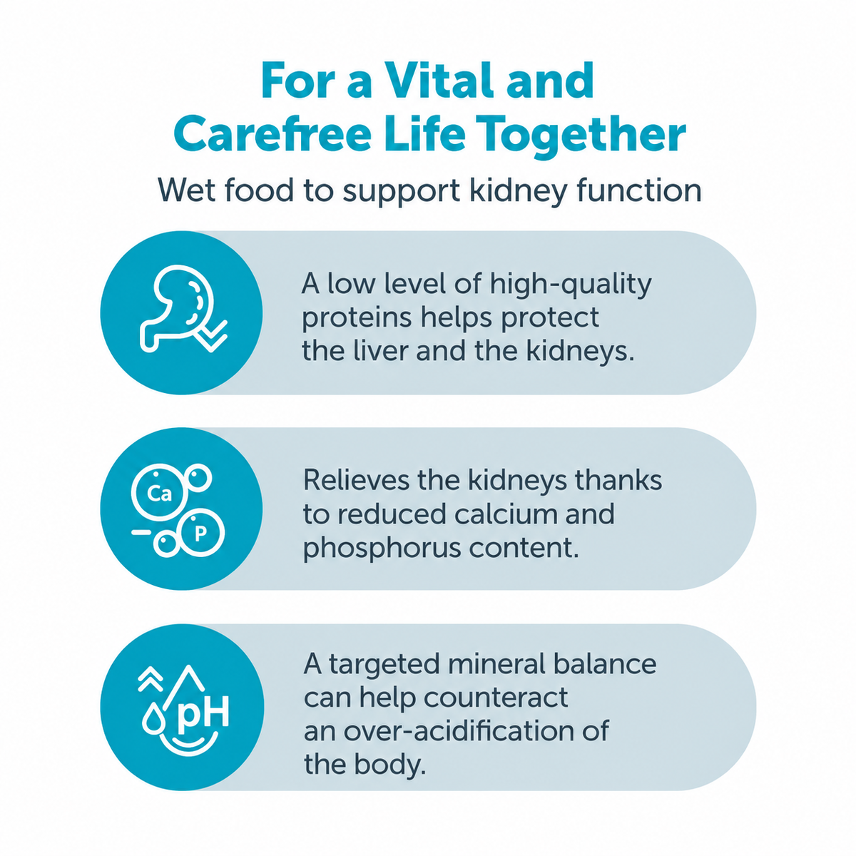 Mera Vital Renal wet dog food benefits for kidney support and digestion