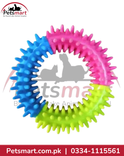 Blue pink and green spiked ring chew toy for dogs