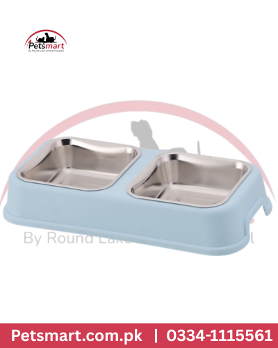 Square Bowl dog