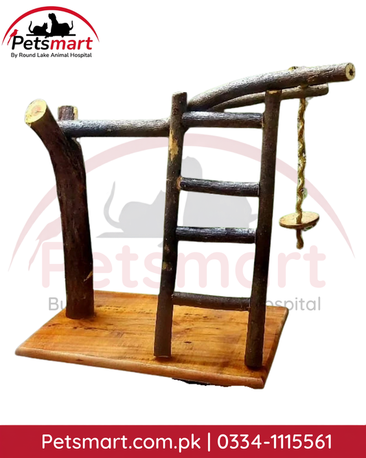 Natural wooden bird ladder stand with strong base and perch branches