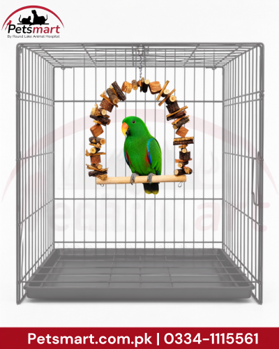 A bird toy wreath made of natural wood logs, branches, and colorful plastic balls, with two white birds perched on it. The image has a 'Petsmart' logo in the top-left corner and a red contact banner at the bottom.Large natural wooden bird swing with arch shaped wood pieces hanging chain and horizontal perch