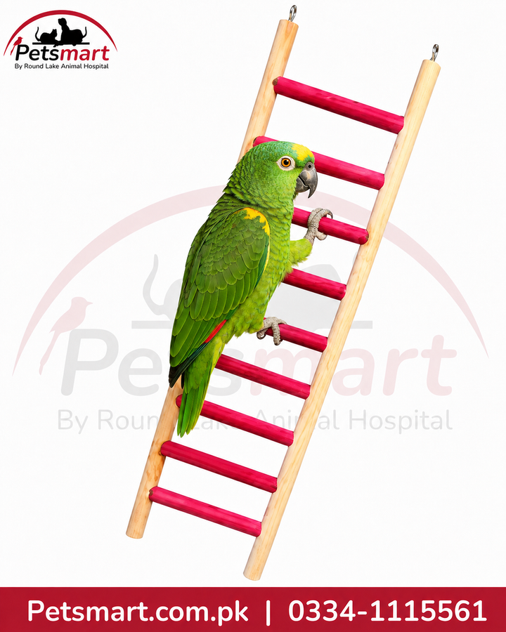 A green Amazon parrot perched on a wooden ladder toy with bright pink-red horizontal bars, shown on a white background with Petsmart branding and a contact banner.