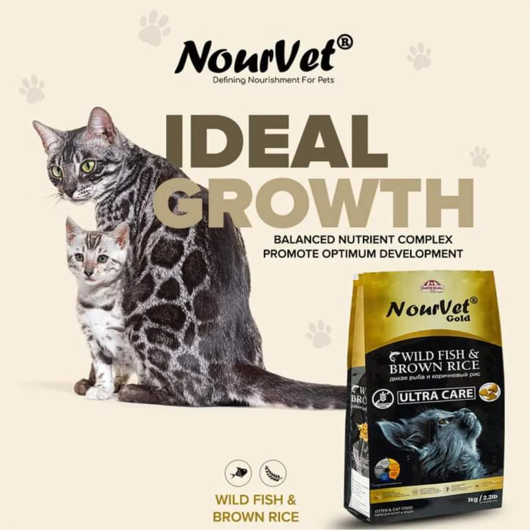 NourVet Gold cat food packaging shown next to two cats on a beige background with the text 'IDEAL GROWTH' and 'WILD FISH & BROWN RICE'.