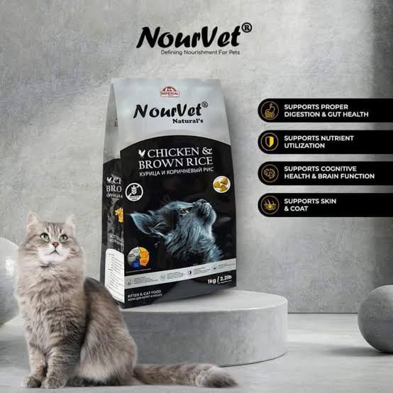Nourvet cat food package with a cat sitting next to it on a gray background