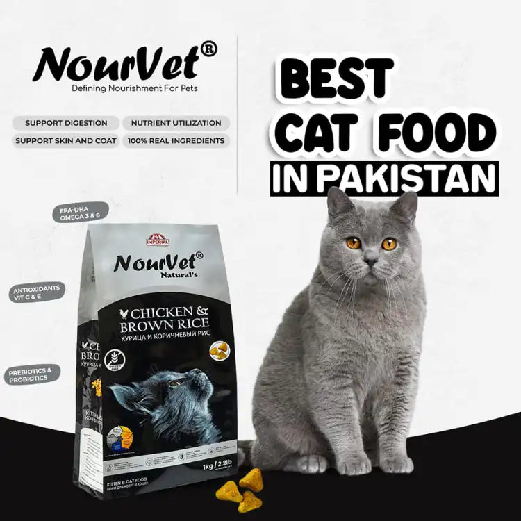 NourVet Chicken & Brown Rice cat food bag shown next to a gray cat and a few kibble pieces on a white background with promotional text.