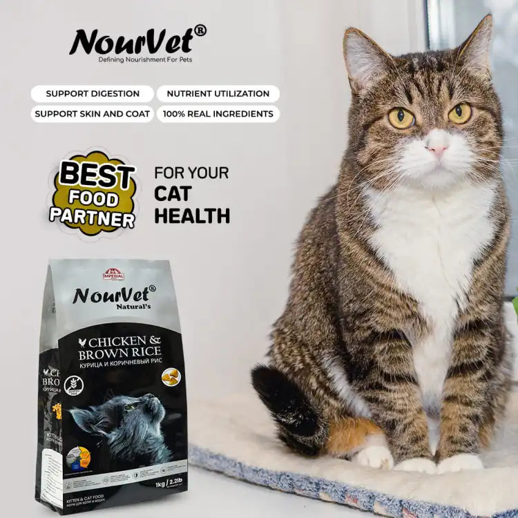 A brown-and-white cat sits on a cushion beside a bag of NowVet cat food. The image includes marketing text for NowVet and a 'Best Food Partner' badge.