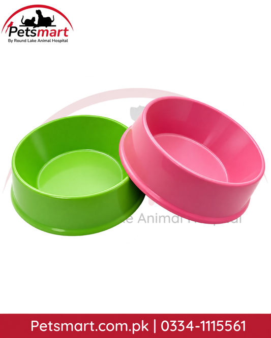 Green and pink plastic pet feeding bowl for cats and small dogs
