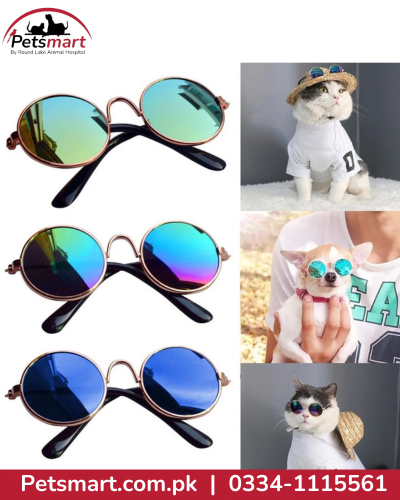 Pet glasses fashion eyewear accessory for cats and dogs