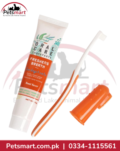 Pet oral dental care kit with beef-flavoured toothpaste, toothbrush and orange finger brush