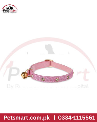 Cat coller simple local