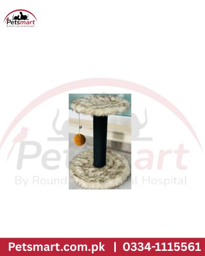 Cat scratcher M