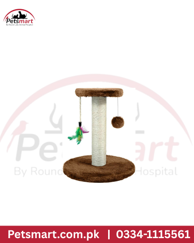 cat scratcher small