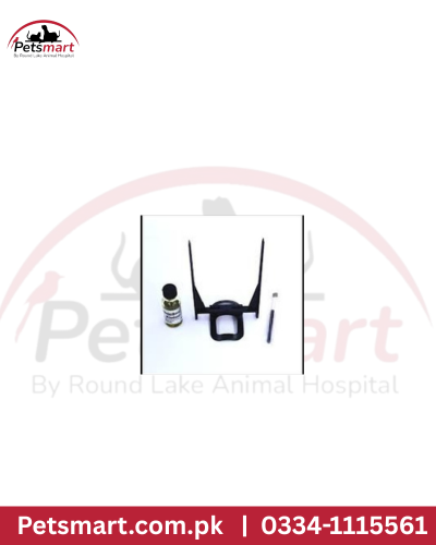 dog ear support studs
