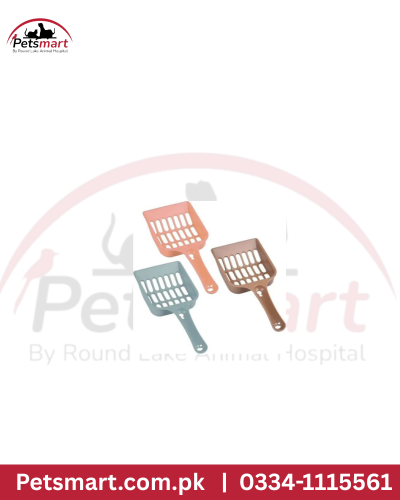 Scoop  small