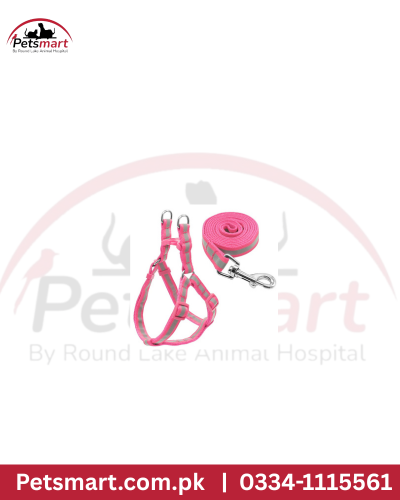 Harness leash