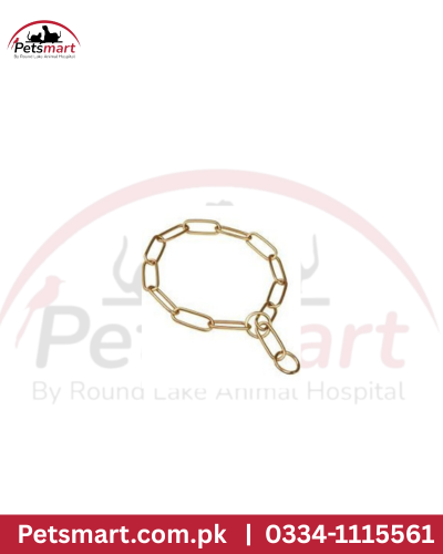 Golden choke chain L