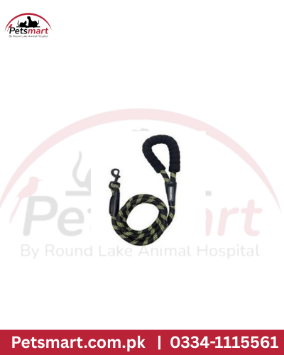 Rubber handle leash high with spring
