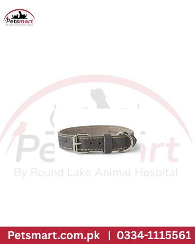 Dog leather collar XL