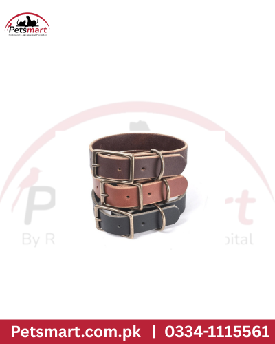 Leather dog coller Large