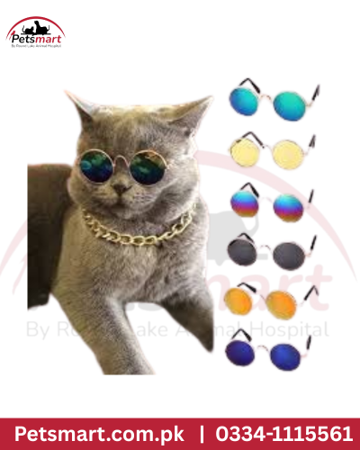 Pet glasses