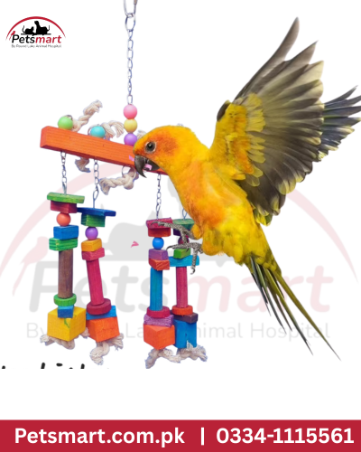 Bird hendrix toy