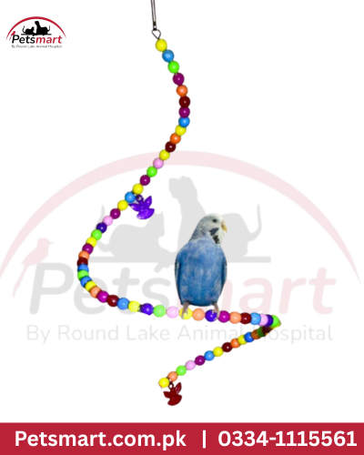 Bird spiral swing