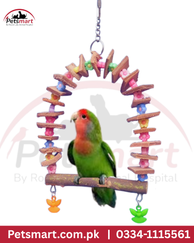 Bird happy swing