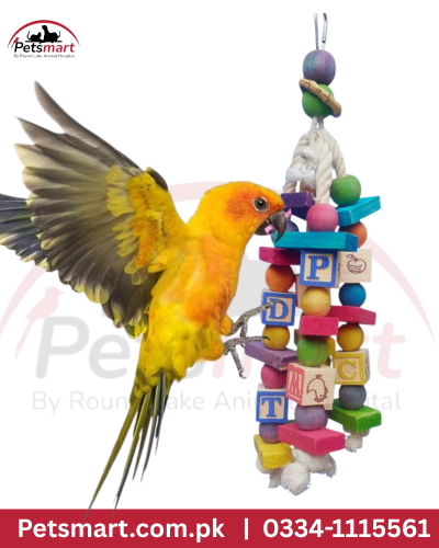 Bird hanging blocks