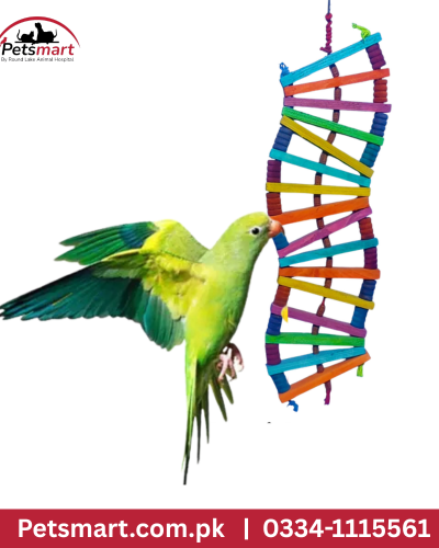 Bird zig-zag ladder