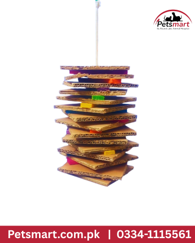 Bird card and wood toy