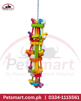 Bird climbing wall