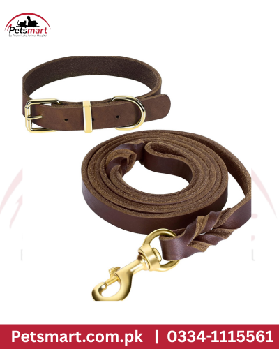 Round leather leash with collar set