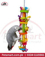 Bird climbing wall